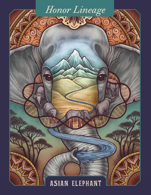 THE ILLUSTRATED BEASTIARY  ORACLE CARDS - TOLL. MAIA; O'HARA. KATE